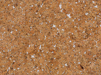 Картинка пробковый пол Настенная пробка Wicanders Roots RY77002 Hawai White
